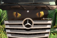 Master Truck Show 2014_10